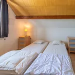Ludogite Au Coeur Des Hautes-fagnes *