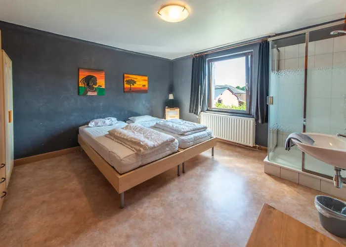 Ludogite Au Coeur Des Hautes-fagnes * Sourbrodt