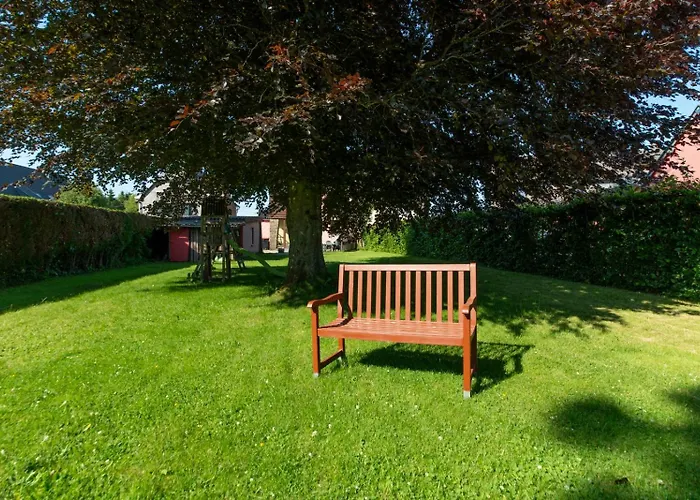 Ludogite Au Coeur Des Hautes-fagnes * Sourbrodt