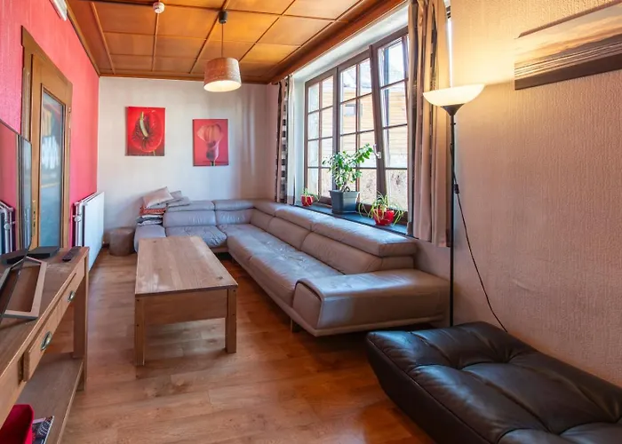 Ludogite Au Coeur Des Hautes-fagnes * Sourbrodt