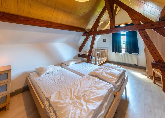 Ludogite Au Coeur Des Hautes-fagnes Sourbrodt