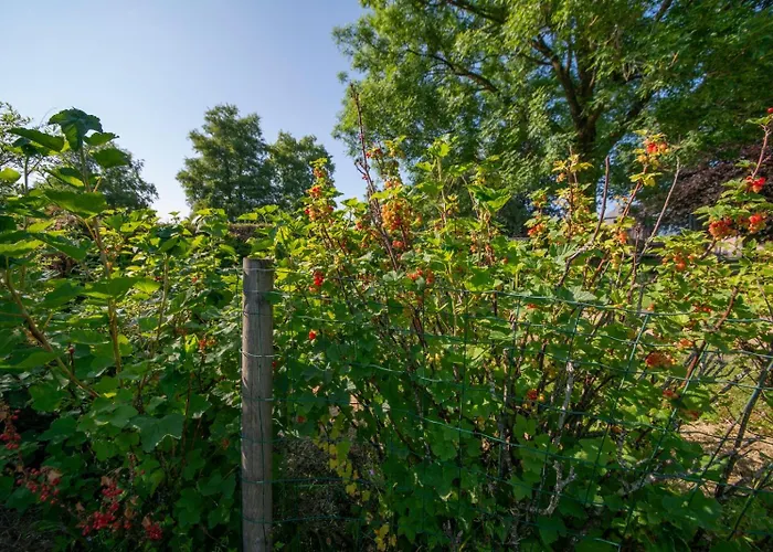 Ludogite Au Coeur Des Hautes-fagnes Vakantiehuis Sourbrodt
